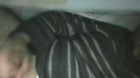 hayal758 online show from December 21, 2024, 6:19 am