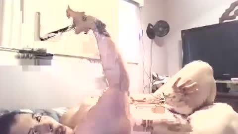 hazelbasil32728 online show from October 30, 2025, 7:25 pm