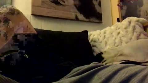 HBSethy online show from January 11, 2025, 7:06 am