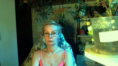 Helga online show from May 8, 2026, 5:18 pm