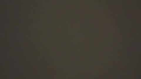 hellohowareyou66 online show from February 1, 2025, 2:37 am