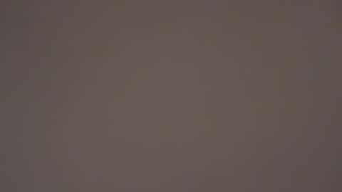 hellohowareyou66 online show from September 17, 2025, 12:12 am