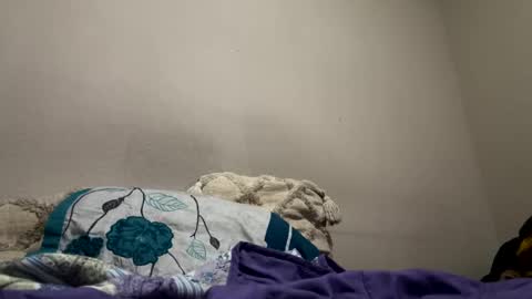 Snapshot of hellokitten123 chatting on January 28, 2025, 9:40 pm hellokitten123 online show from January 28, 2025, 9:40 pm