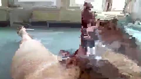 Snapshot of hera44 chatting on October 9, 2025, 10:57 am hera44 online show from October 9, 2025, 10:57 am