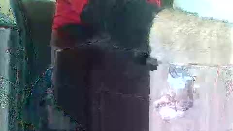 herbee510 online show from December 20, 2025, 9:22 pm