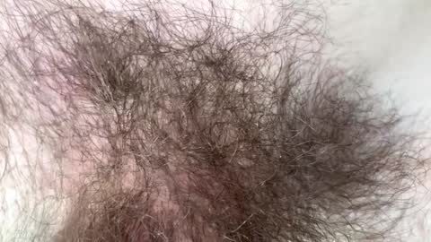 Snapshot of hey_arnold chatting on February 7, 2025, 9:15 pm Arnold online show from February 7, 2025, 9:15 pm