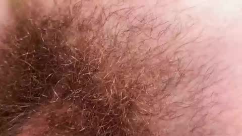 Snapshot of hey_arnold chatting on December 2, 2025, 9:21 pm Arnold online show from December 2, 2025, 9:21 pm