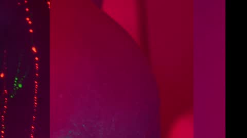 Alina online show from December 8, 2024, 7:00 pm