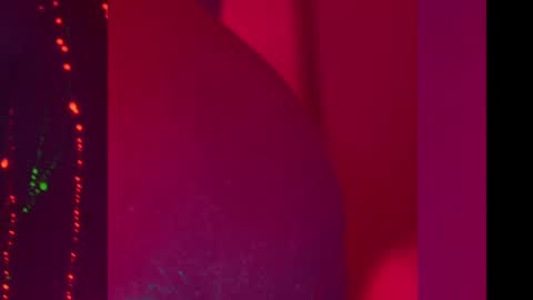 Alina online show from December 11, 2024, 8:18 pm