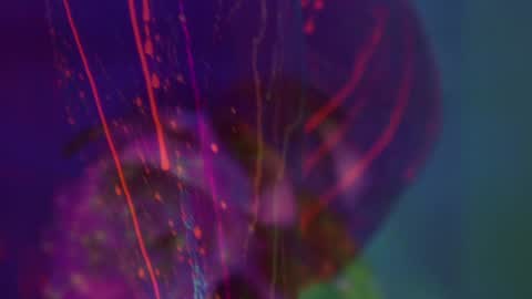 Alina online show from September 8, 2025, 5:34 pm