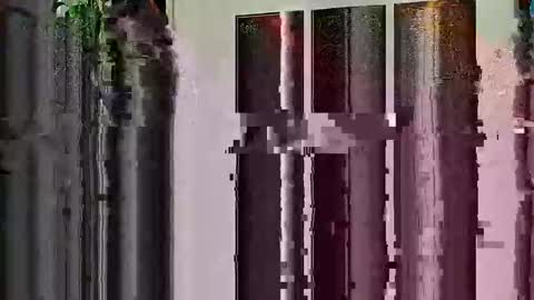 Highandhell online show from February 19, 2026, 12:50 am