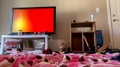 angelbabi online show from December 11, 2024, 8:07 pm