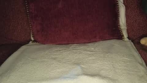 Grace online show from February 15, 2026, 8:35 am