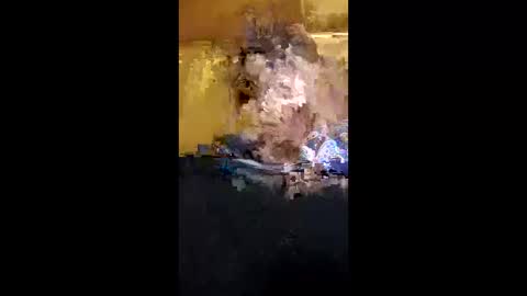 homer1234567890 online show from March 26, 2026, 7:03 am