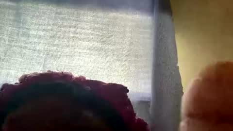 honeybaby44446 online show from July 11, 2026, 9:05 pm