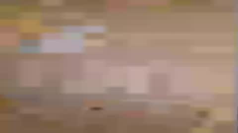 honeybear2026 online show from July 7, 2026, 7:23 am