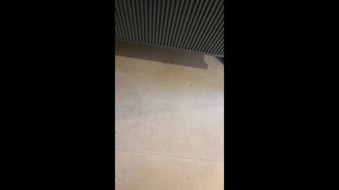 horny4more691 online show from March 10, 2026, 6:57 pm