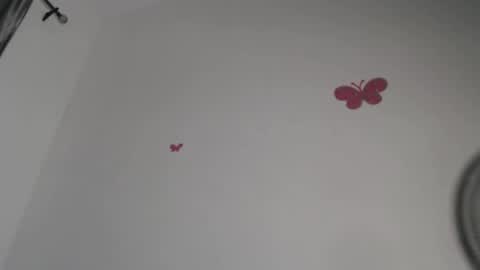 Iris online show from November 4, 2025, 9:25 pm