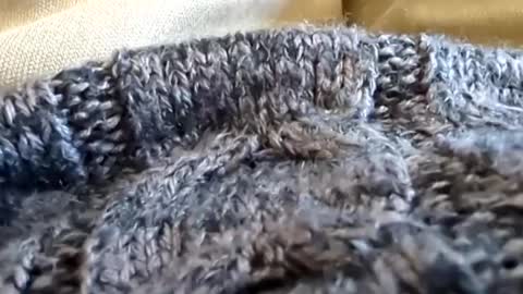 Tiny cock online show from March 2, 2025, 7:12 pm