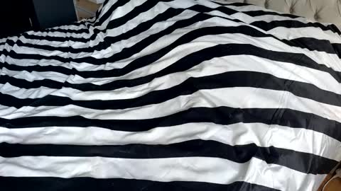 hornyasscouple1009 online show from January 17, 2026, 11:37 am