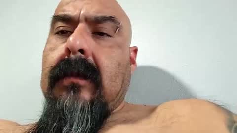 Snapshot of hornychrisla chatting on December 19, 2024, 11:46 pm hornychrisla online show from December 19, 2024, 11:46 pm