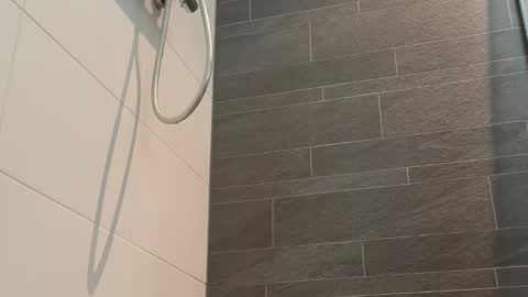 Toyboy online show from March 24, 2026, 12:32 pm