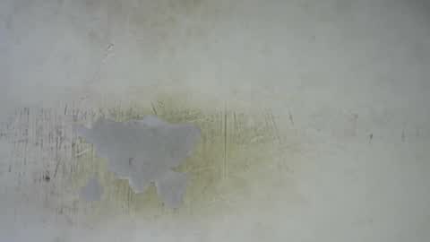 Bella online show from February 25, 2026, 11:58 pm