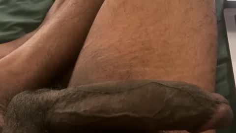 Bbc horsey online show from February 3, 2026, 12:31 am