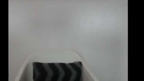 hotjessie0 online show from February 18, 2026, 4:08 am