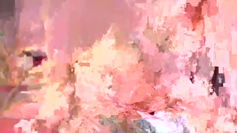 Vea online show from May 13, 2026, 1:08 pm