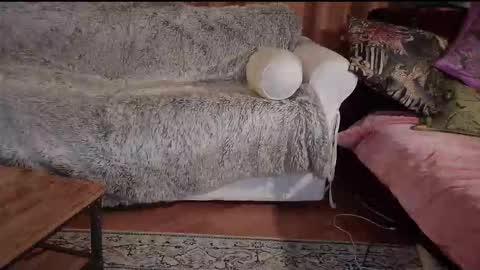 Snapshot of hotpeppersx chatting on October 31, 2025, 8:21 pm Betty boob online show from October 31, 2025, 8:21 pm