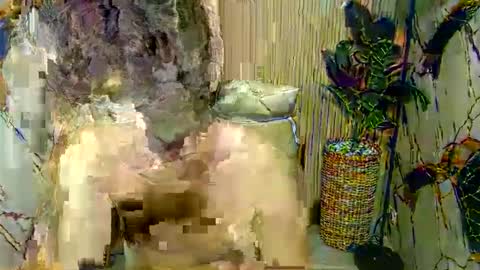 hottestloues online show from April 26, 2026, 2:59 pm