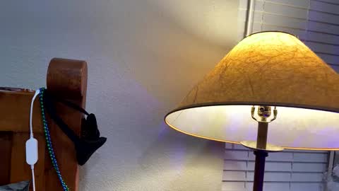 hottiewithabody101 online show from January 17, 2026, 1:49 pm