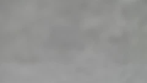 Snapshot of hourg chatting on January 31, 2025, 5:51 am Slutty little female cat online show from January 31, 2025, 5:51 am