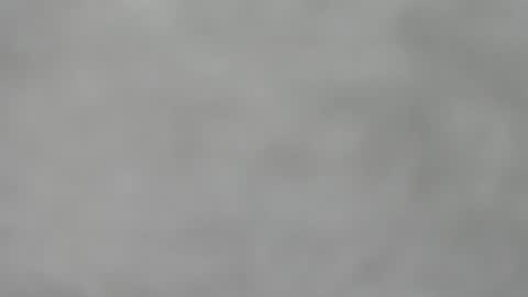 Snapshot of hourg chatting on November 16, 2025, 4:40 am Slutty little female cat online show from November 16, 2025, 4:40 am