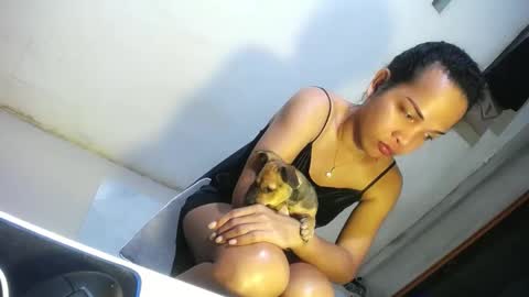 Snapshot of hugcock69_precious chatting on December 20, 2024, 6:56 pm Precious online show from December 20, 2024, 6:56 pm