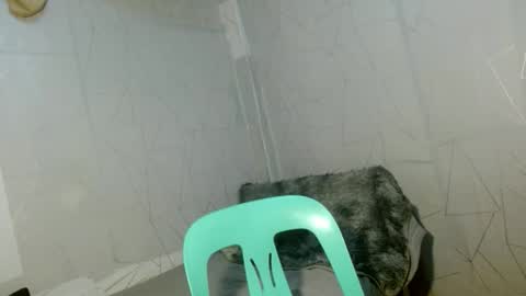 Cara online show from April 12, 2026, 9:03 am