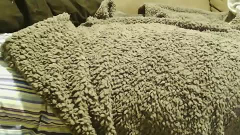 BigFTMdick online show from December 22, 2024, 7:11 am