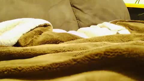 BigFTMdick online show from December 30, 2024, 7:15 am