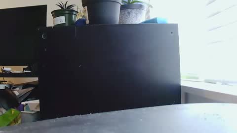 BigFTMdick online show from January 11, 2025, 11:13 pm