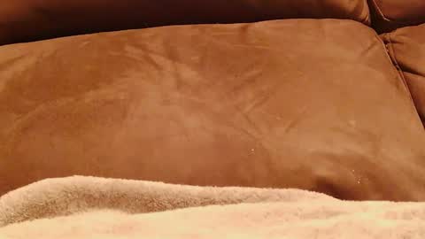 BigFTMdick online show from January 13, 2025, 5:12 am