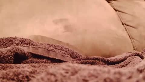 BigFTMdick online show from January 19, 2025, 5:37 am