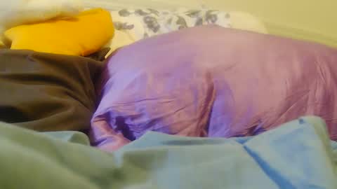 BigFTMdick online show from November 23, 2025, 7:46 pm