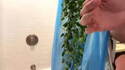 hung_and_horny1005 online show from November 24, 2025, 11:15 pm