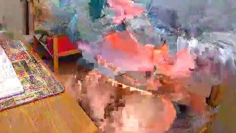hunty57 online show from October 23, 2025, 8:29 pm