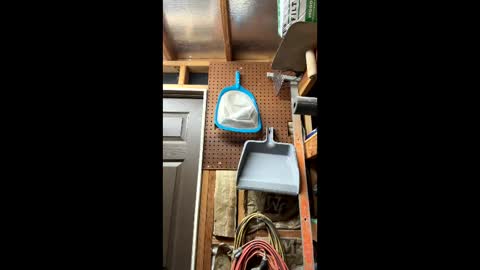 huskey300 online show from March 6, 2026, 2:19 am