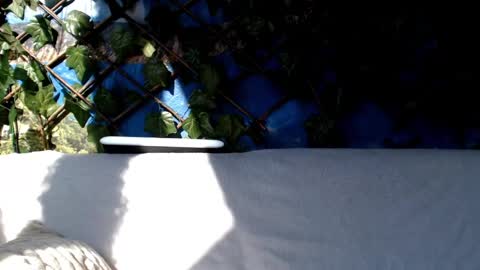 Kayla online show from March 3, 2025, 8:38 am