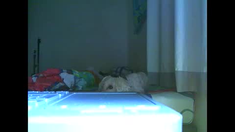 Ian is back my loves online show from November 7, 2025, 7:03 pm