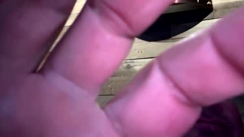 Snapshot of icanmakeyousquirt69 chatting on April 1, 2026, 5:19 am icanmakeyousquirt69 online show from April 1, 2026, 5:19 am