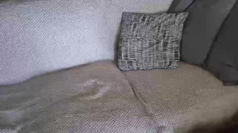 SnowTiger online show from February 19, 2026, 11:17 am